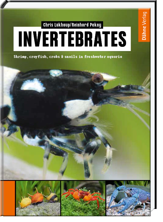 Invertebrates · Chris Lukhaup/Reinhard Pekny
