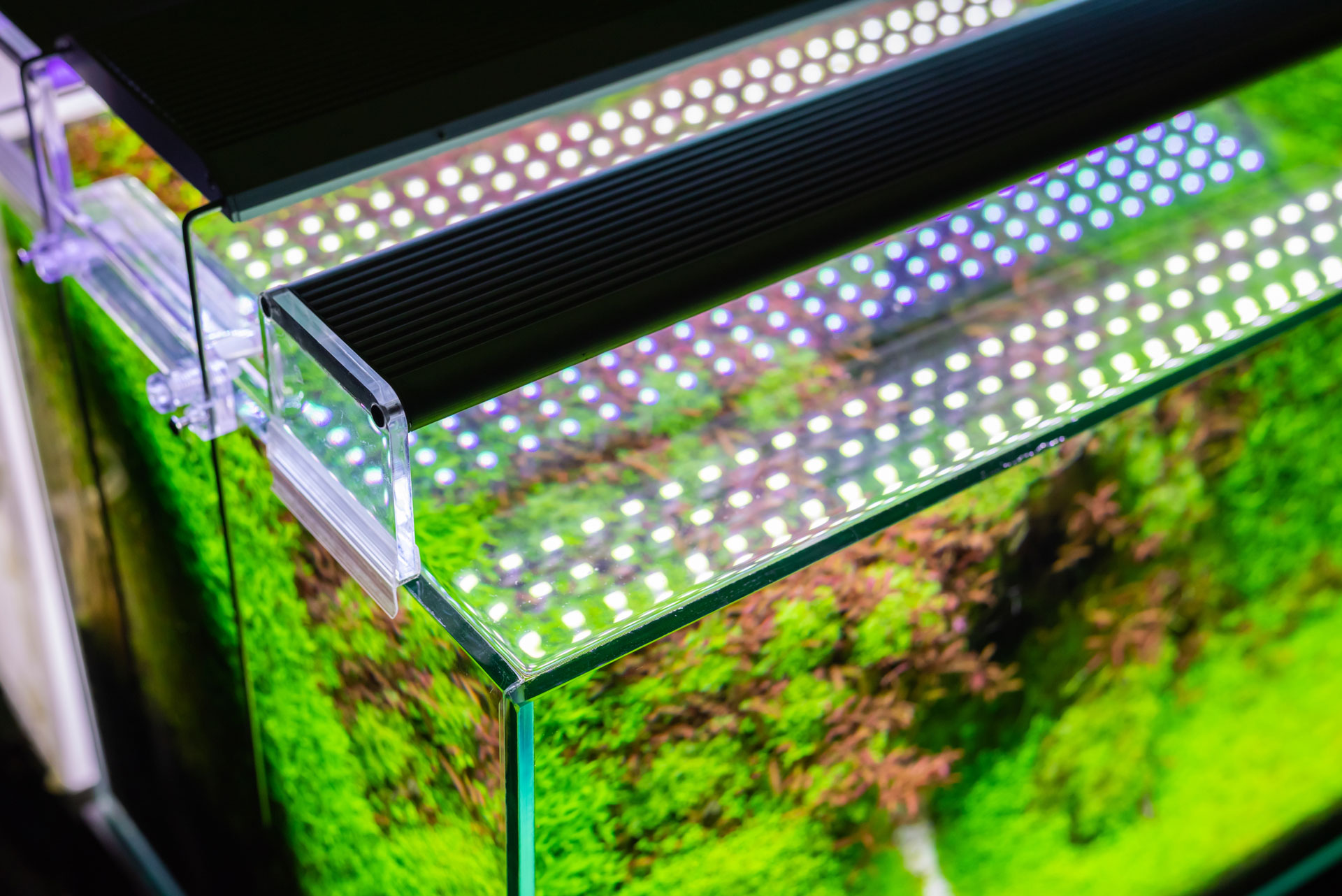 LED-Aquariumbeleuchtung