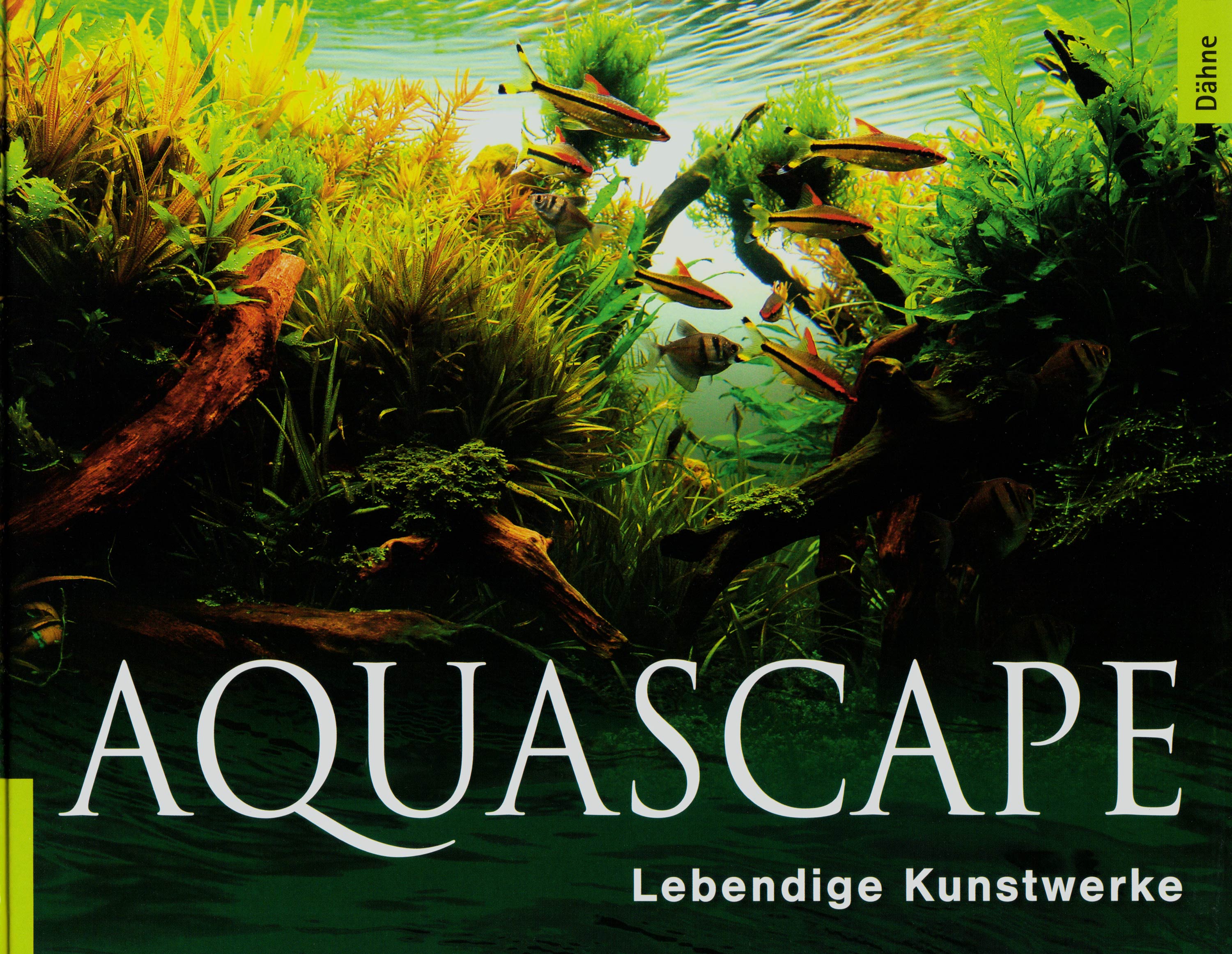 Aquascape · Lebendige Kunstwerke