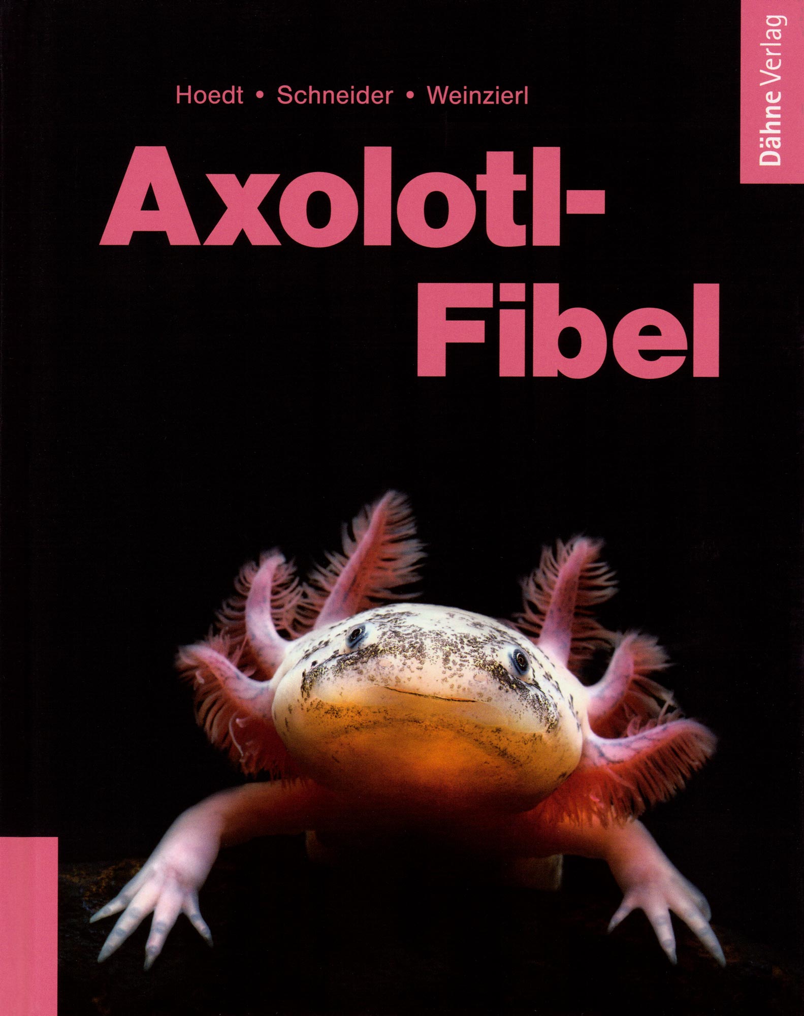 Axolotl-Fibel Vorderseite